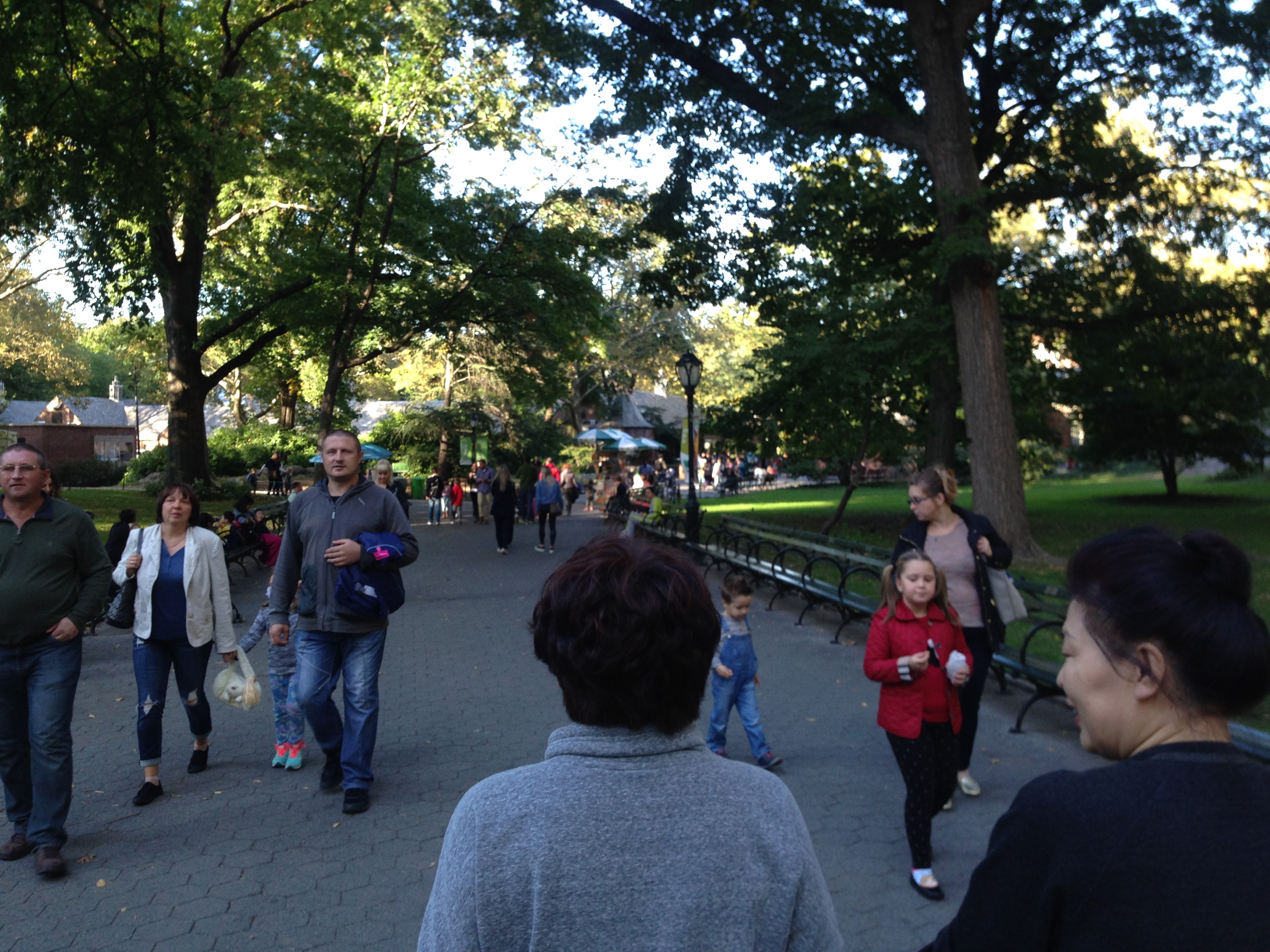 hindernislaufcentralpark2