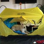 Zelt und Wagen – Ausrüstung