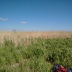 037 Palanga – lettische Grenze – Pape