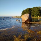 084 Poama – Körgessaare – Kärdla (Hiiumaa)