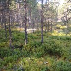 091 Rannaküla – Vihterpalu