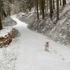 Running in the Winntawondaland