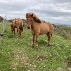 IS10 Hvitarbakki – Hrútafjörður